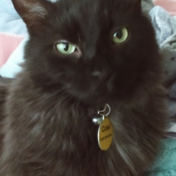 Meet your Posher, Rebecca - Picture 2 of 3